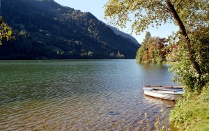 fischen-in-feld-am-see-feld-am-see-kaernten