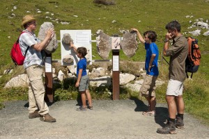 copyright_Region Villach Tourismus GmbH_ Franz Gerdl_ Dobratsch - Naturerlebnis 21